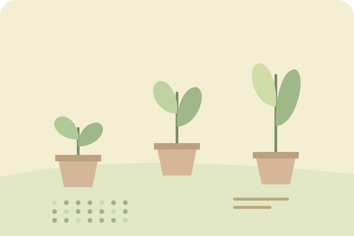 Pale yellow and green seedlings beside abstract recording dots